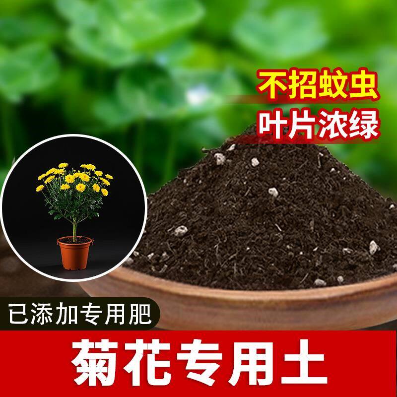 菊花专用土种花土养花花卉阳台种植土育苗花土菊花专用营养土天然