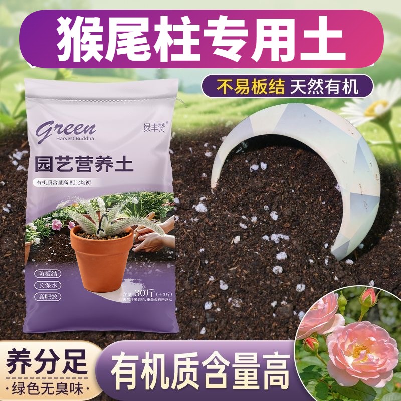 猴尾柱专用养花土保水保肥高温灭菌室内加有机肥精选防黄叶观花