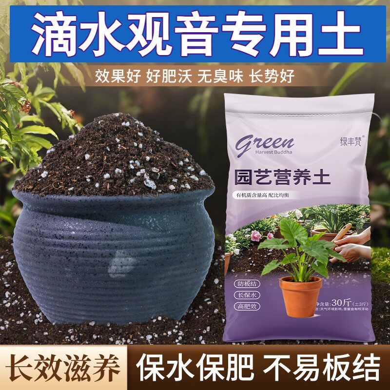 滴水观音适用养花土防烂根疏松透气扦插包邮无菌促生长多肉不板结