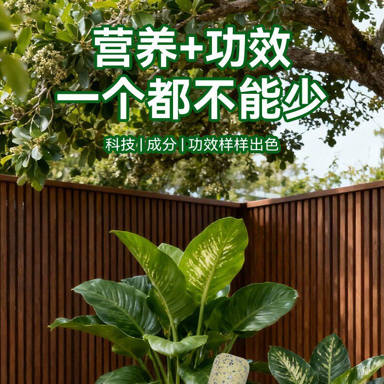 枸杞专用肥缓释肥缓释颗粒肥花多色艳壮苗促长阳台盆栽营养肥底肥
