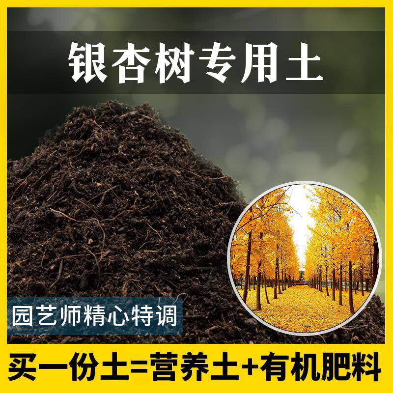 银杏树专用土农业果园种植土家庭果树有机泥土盆栽土银杏树营养土