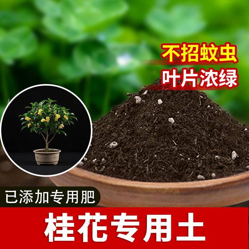 桂花专用土桂花专用营养土种菜土有机肥椰砖发酵花草种花土多肉土