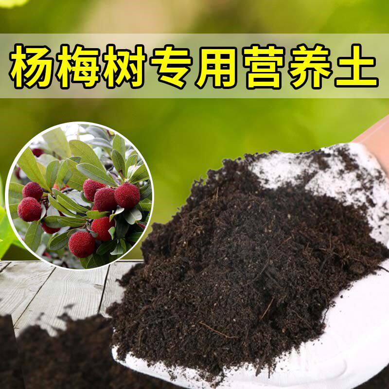 杨梅树专用土农业果园种植土杨梅树营养土家庭果树有机土壤盆栽土