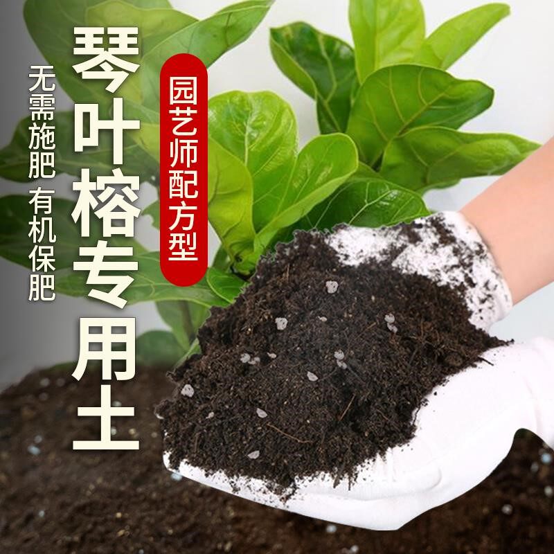 琴叶榕专用土肥料花盆植物花草花卉阳台盆栽土壤琴叶榕蓬松营养土