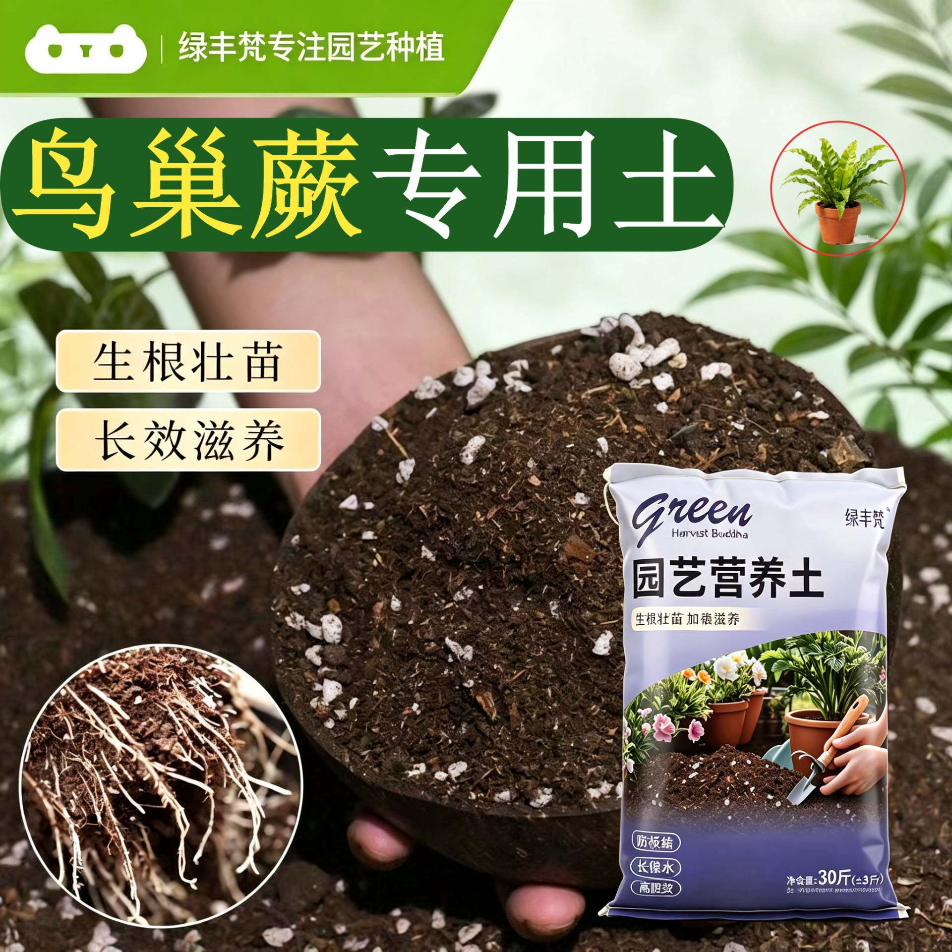 鸟巢蕨专用种菜土根壮苗好保水保肥阳台加有机肥无菌防黄叶多肉