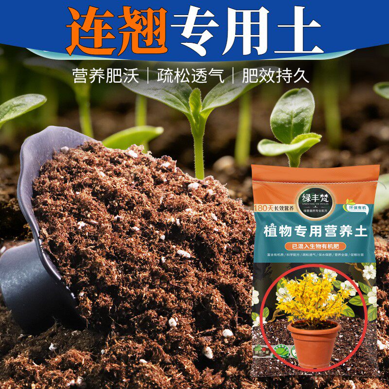 连翘适用配方土蓬松多孔菜园种植土优质绿叶无草籽木本大包装多肉
