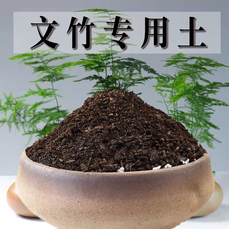 文竹专用土文竹土盆栽土有机土肥料种花泥土营养土种植土壤养花土