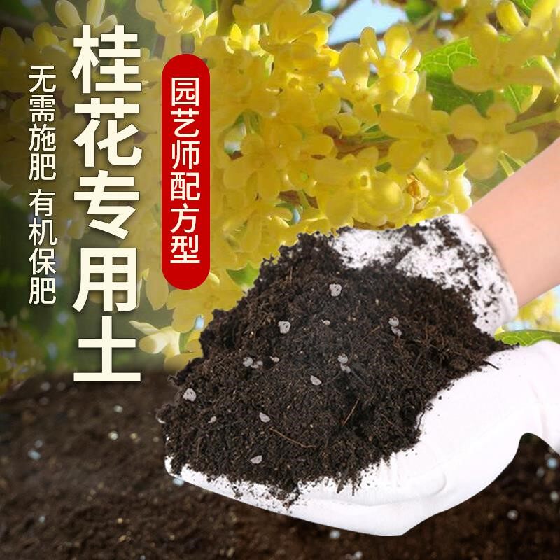 桂花专用土营养土种花桂花专用肥料花卉泥土花盆家庭蓬松有机土