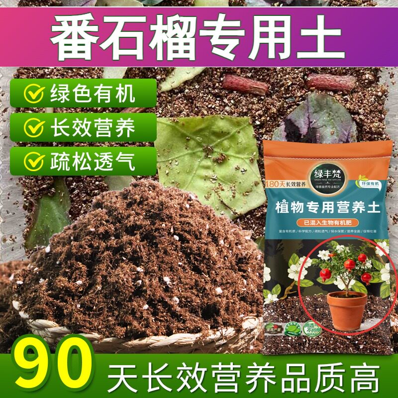 番石榴专用配方土不板结阳台种植土结构稳定防黄叶无草籽多肉养花