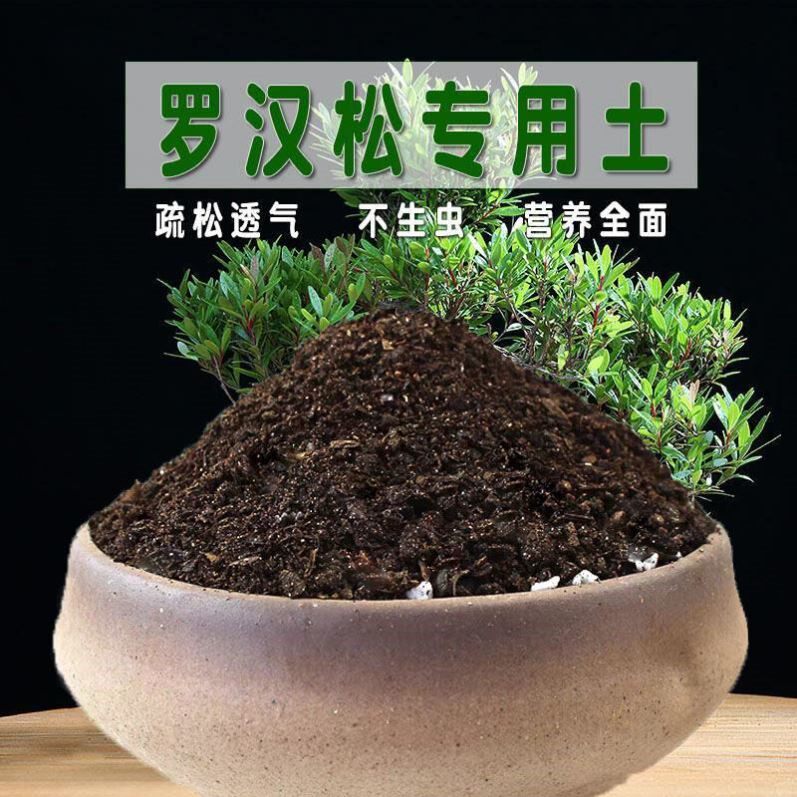 罗汉松专用土酸性盆栽土花卉花泥土壤种植土通用营养土有机土肥料