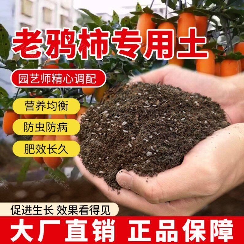 老鸦柿专用土肥料养花花草老鸦柿营养土黑土阳台种花种植泥土椰砖