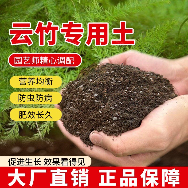 云竹专用土肥料云竹营养土家庭泥土植物花盆透气园艺绿植有机土