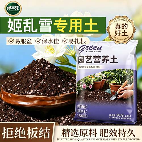姬乱雪专用种菜土根壮苗好加珍珠岩家庭园艺泥炭基质有机绿叶多肉