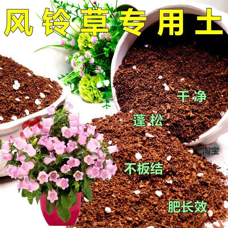 风铃草专用土风铃花丹麦风铃通用型营养土庭院绿植有机土壤培植土