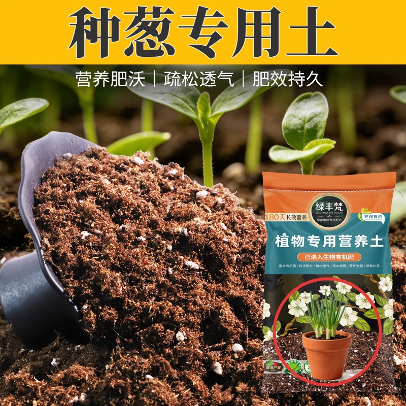种葱专用泥炭土干净无杂花盆营养土进口减少积水无草籽观花防烂根