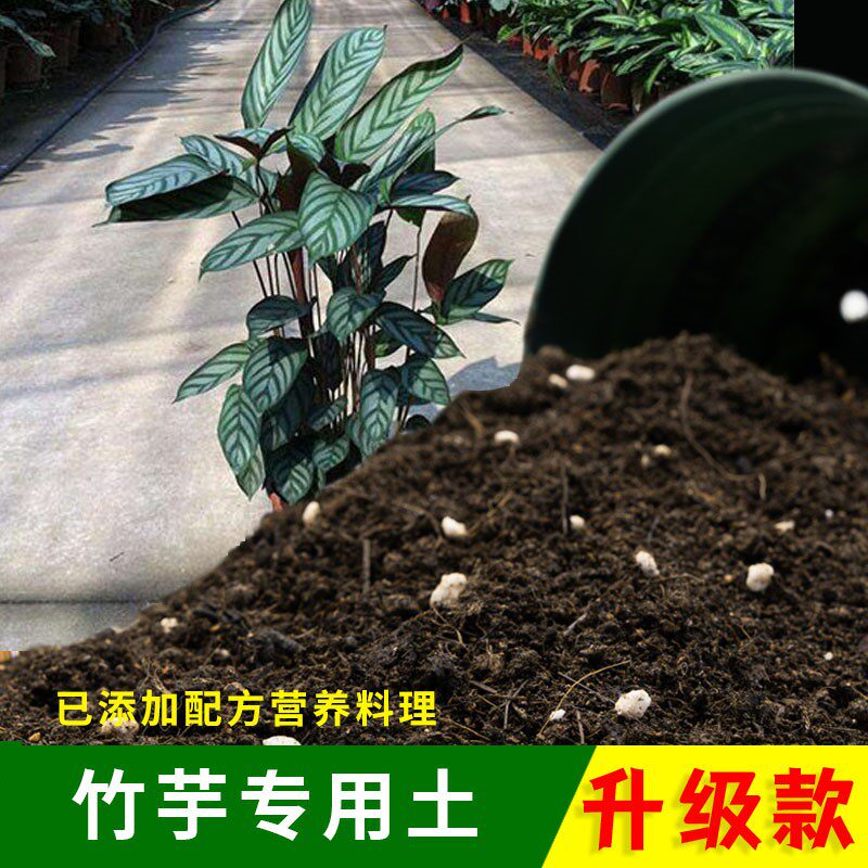 竹芋专用土5斤装园艺绿植盆栽弱酸性营养土绿植专用优质盆栽肥土
