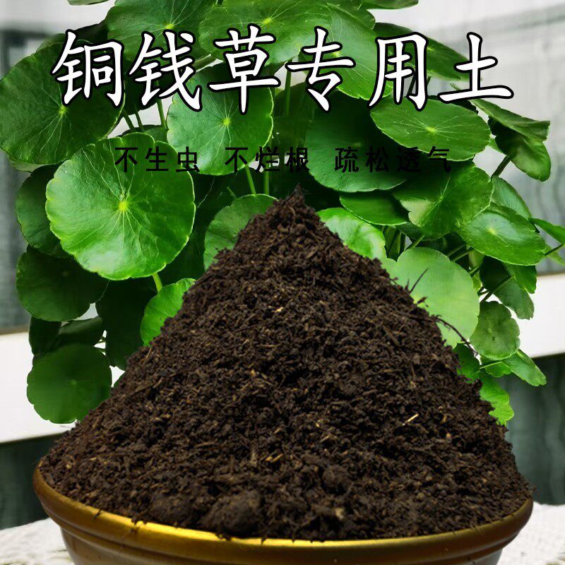 铜钱草专用土铜钱草营养土盆栽养花土通用绿植土壤种植土有机肥料