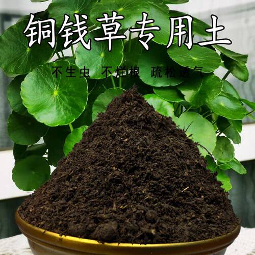 铜钱草专用土铜钱草营养土盆栽养花土通用绿植土壤种植土有机肥料