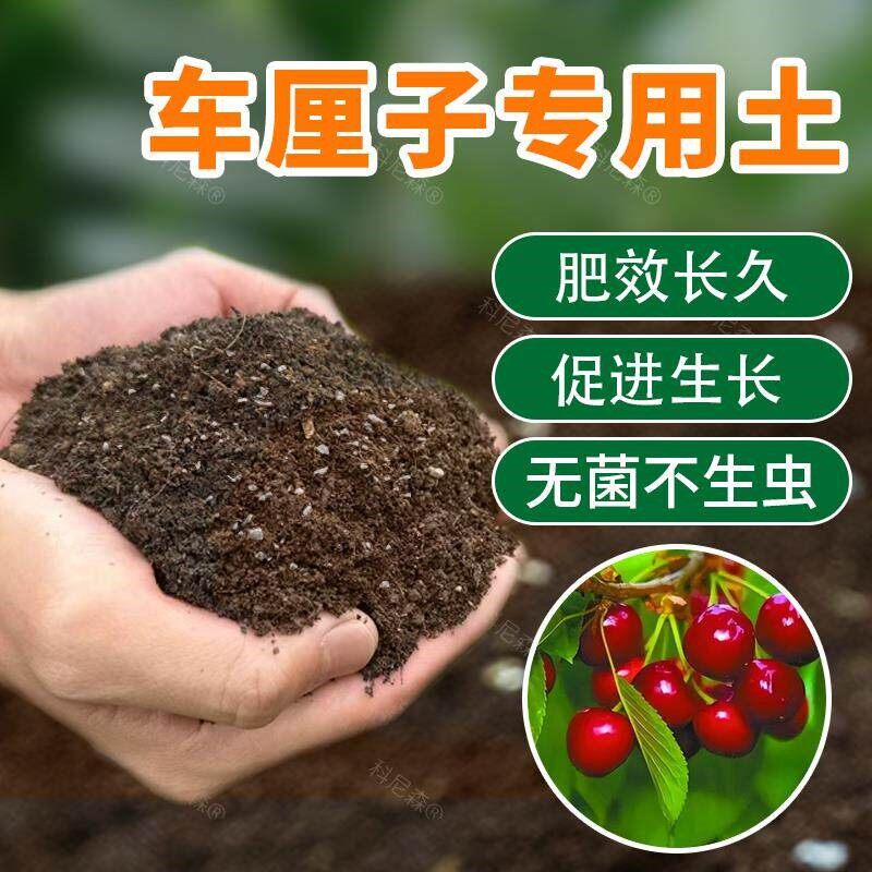 种车厘子土专用营养土种果树樱桃树有机土泥土果园种植土树苗肥料