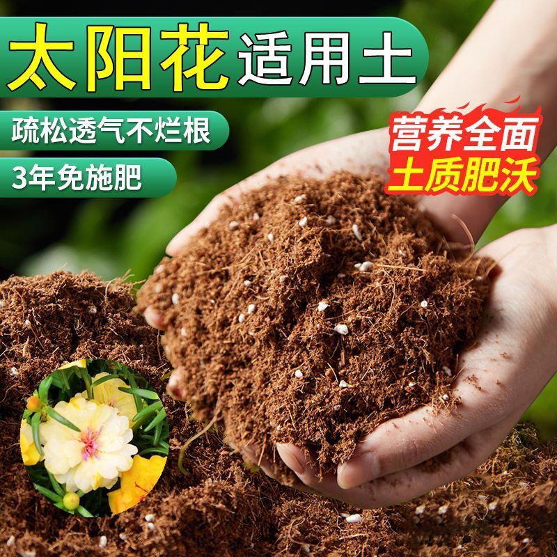 太阳花专用土太阳花专用营养土养花种花土通用种植土酸性土壤肥料