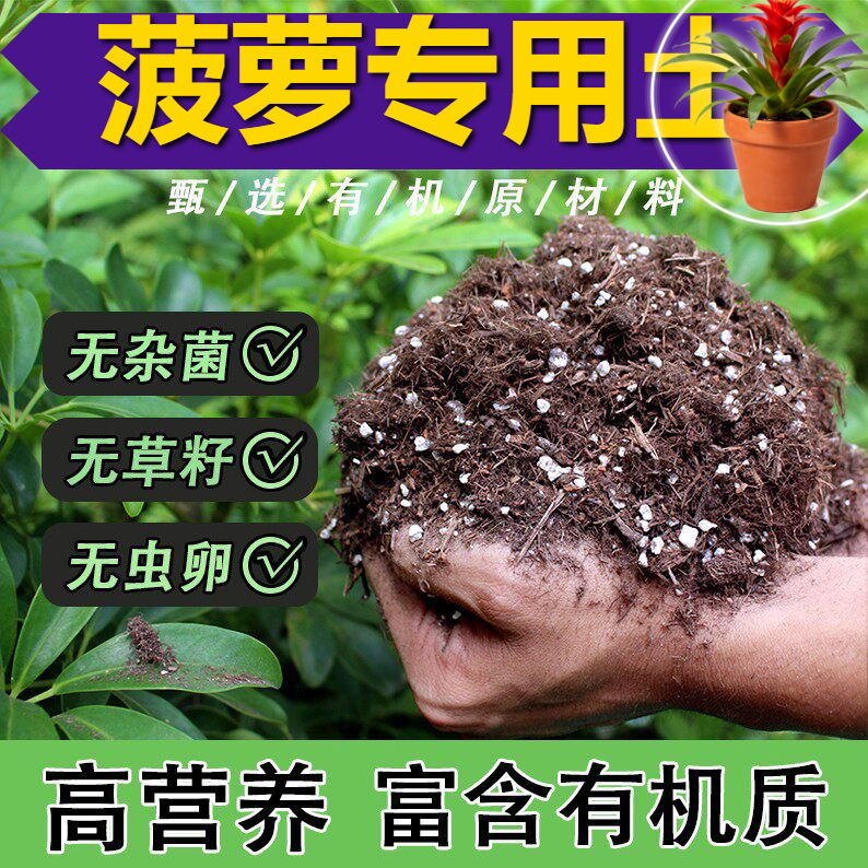 菠萝专用营养土促开花菜园盆栽土植料增色保水保肥育苗庭院种植土