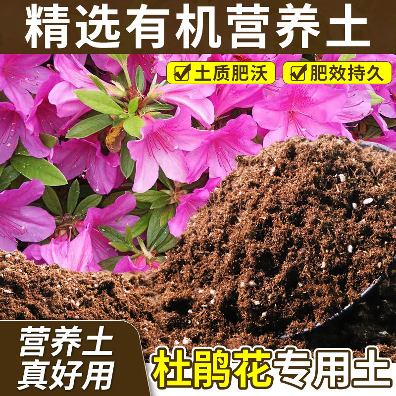 杜鹃花专用轻质土干湿循环好种植土配比科学缓冲肥效无草籽观叶