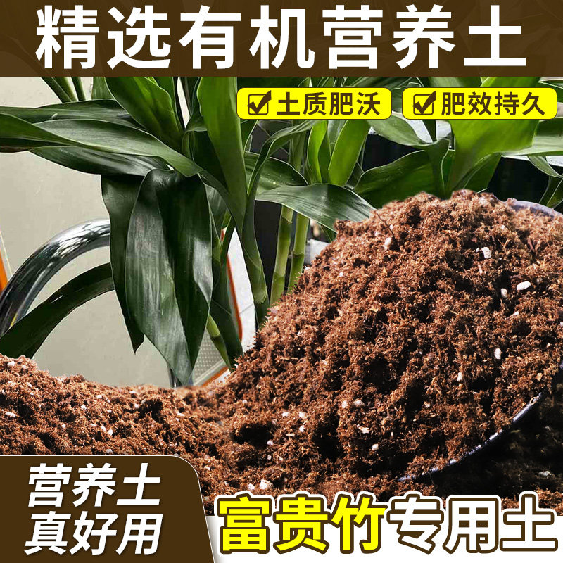富贵竹适用园艺土疏松透气营养土不易粉化改善板结开袋即用观叶