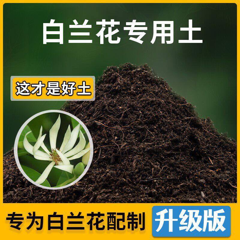 白兰花专用土花草种植土壤白兰花营养土盆栽种花养花肥料有机土