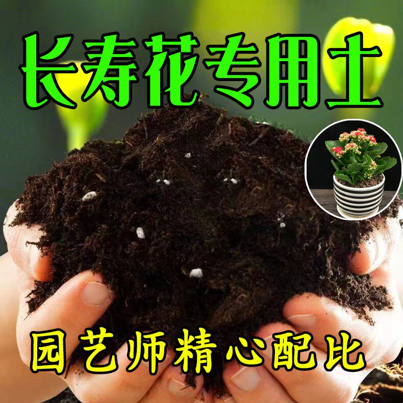 长寿花专用土长寿花营养土盆栽土种植土壤家庭盆栽种花养花土肥料