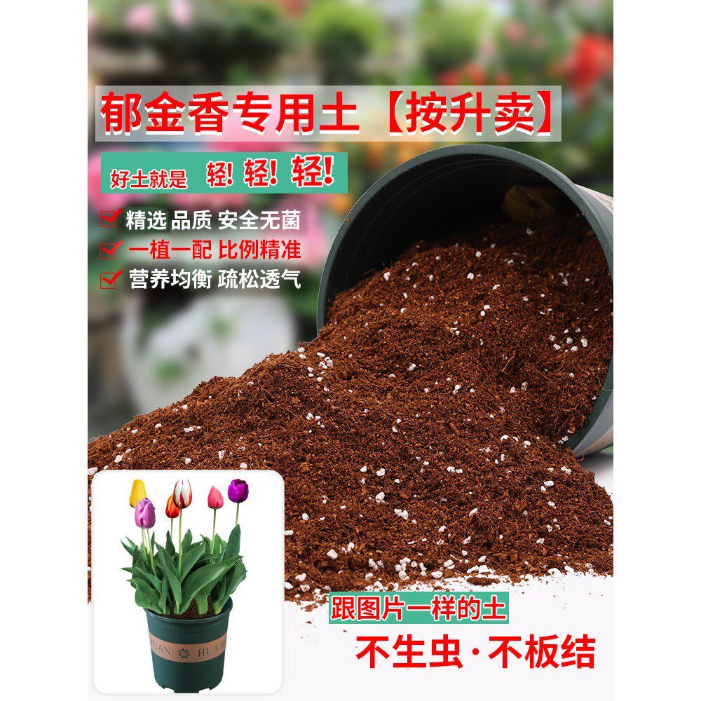 郁金香专用土营养土养花专用通用型家用盆栽种花有机泥土种植土壤