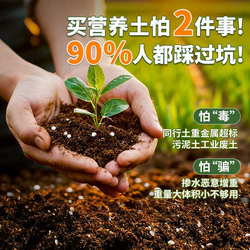 黄椰子适用花土干净无杂种菜种植土进口促生长大包装观叶缓释营养