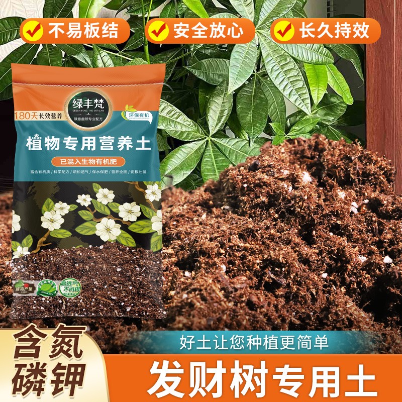 发财树专用土壤科学配比花园种植土性质稳定保护根系家用装球根