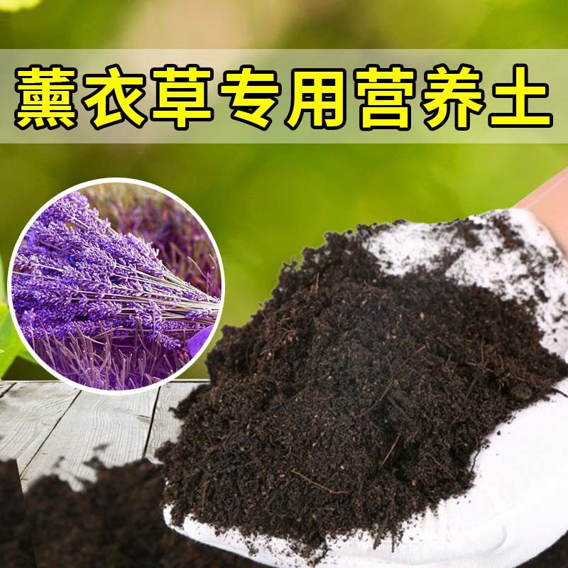 薰衣草专用土家用养花有机土壤种植土肥料种花盆栽土薰衣草营养土