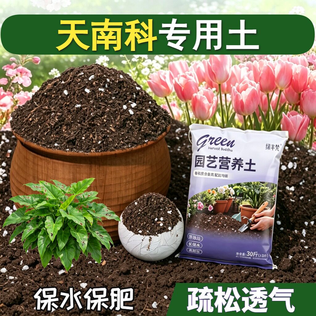 天南科适用种菜土根壮苗好盆景泥炭基质有机绿叶多肉增色阳台扦插