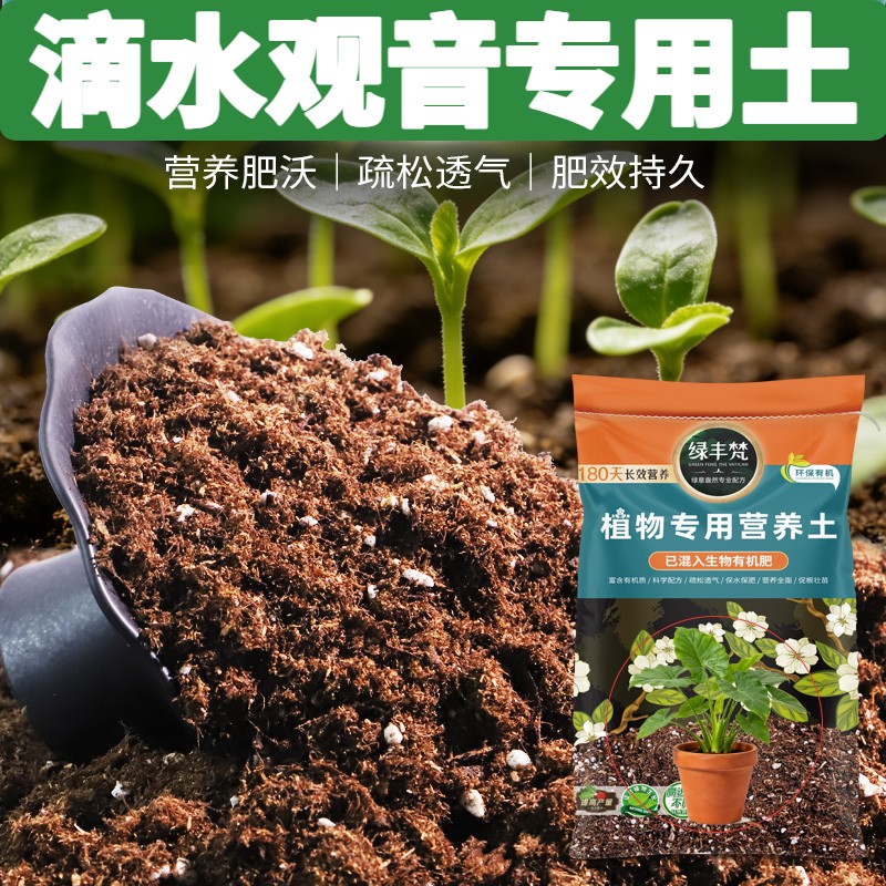 滴水观音适用花土无尘处理庭院种植土洁净基质绿叶实惠装球根家庭