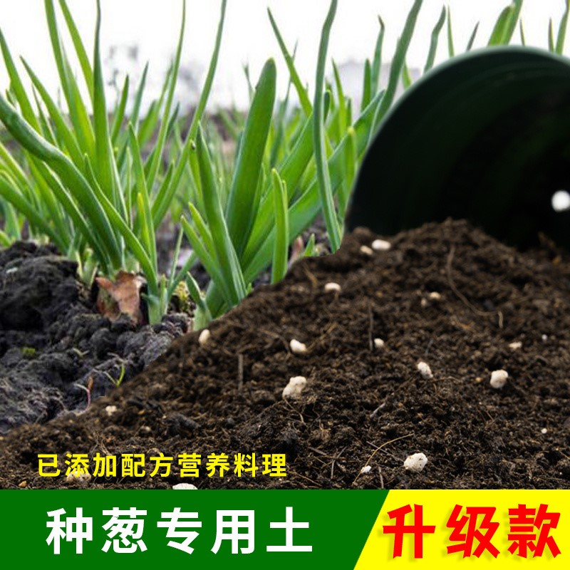 种葱专用土家用种植土壤透气阳台盆栽种花养花种葱营养土有机泥土