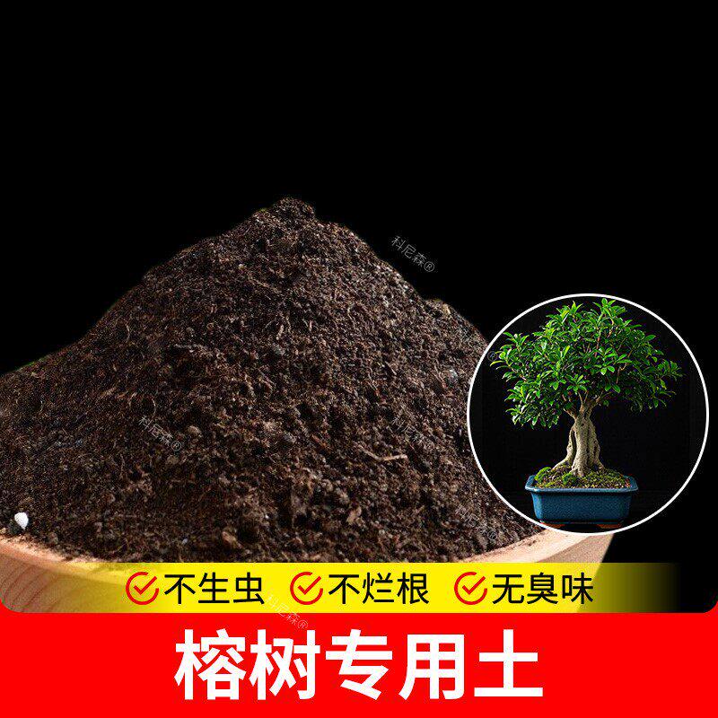 榕树专用土种植土发酵天然养花营养土栽培土室内透气盆栽有机土壤