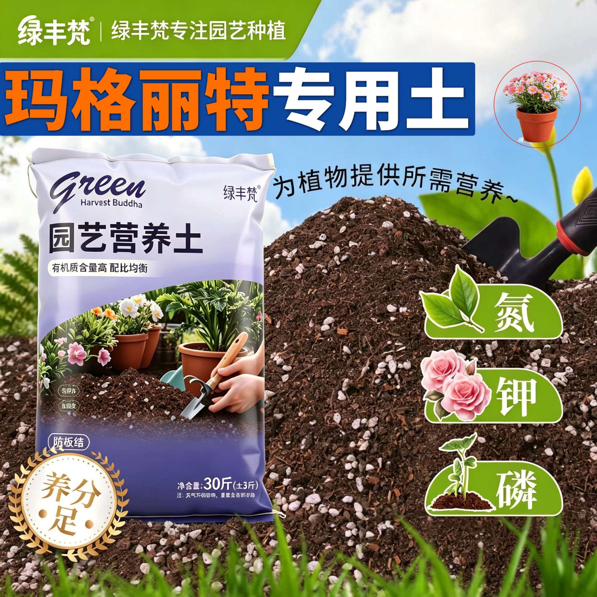 玛格丽特适用泥炭土不烂根高温灭菌花园包邮天然防徒长木本多肉