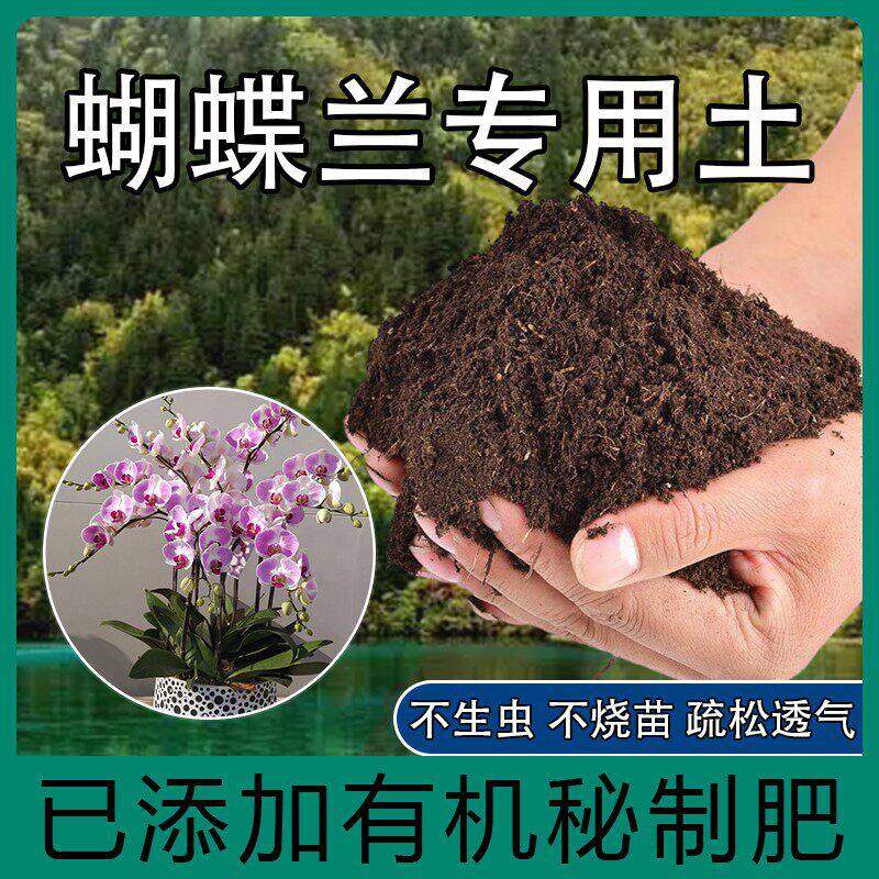 蝴蝶兰专用土肥料胡蝶兰盆栽营养土室内种植土透气通用型阳台花土
