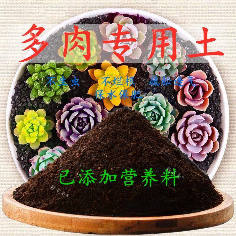 多肉专用土盆栽酸性透气多肉营养土有机肥料壤绿植种植土通用土壤