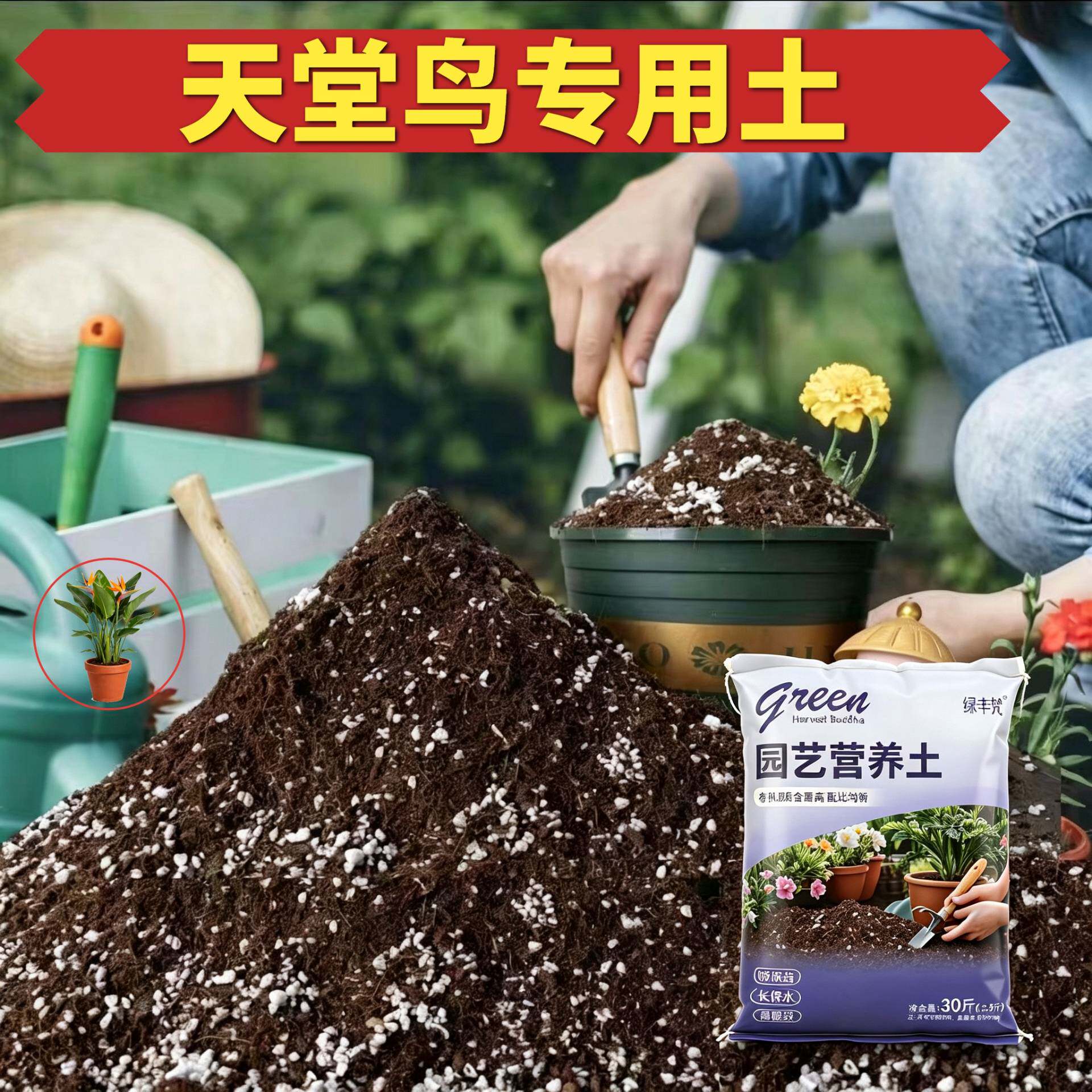 天堂鸟专用营养土根壮苗好家庭园艺加有机肥天然防黄叶喜酸适用