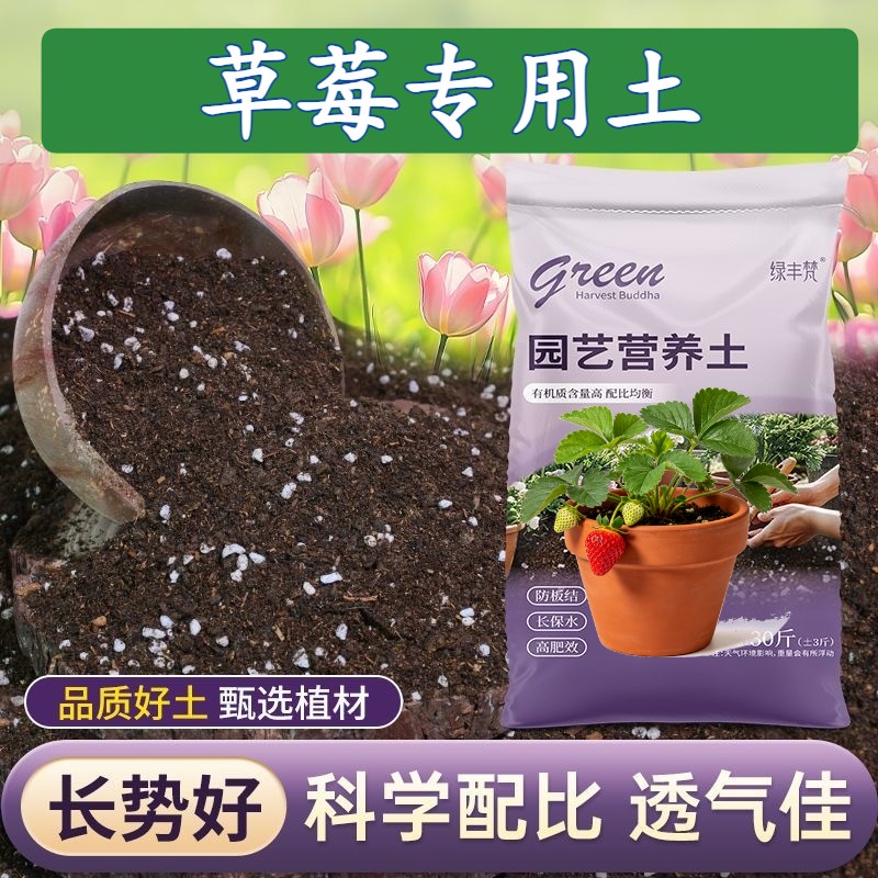 草莓专用进口泥炭土防烂根腐殖泥炭土园艺加牛粪优质绿叶球根观花