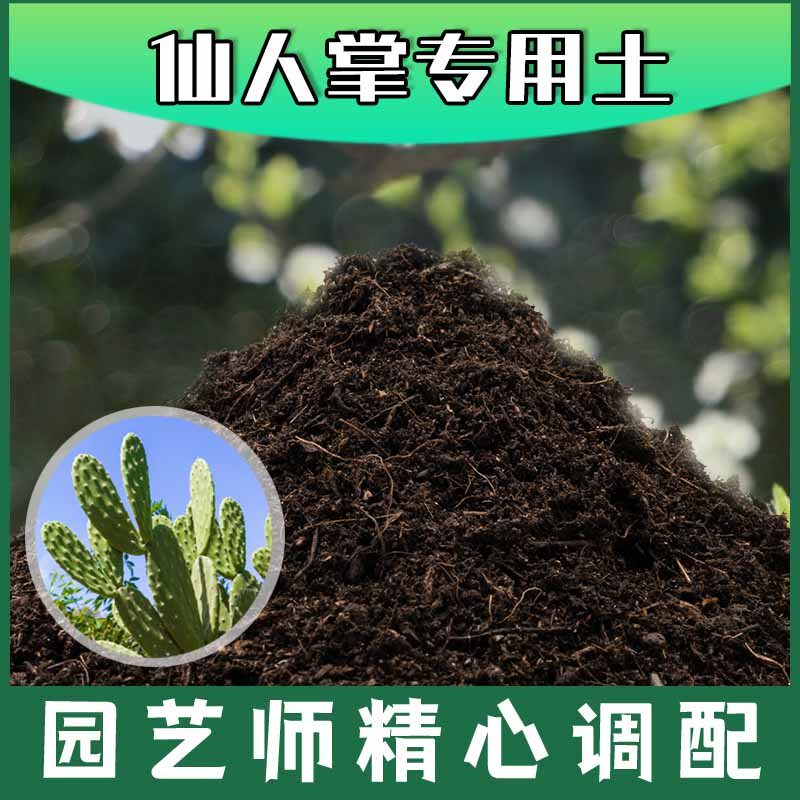 仙人掌专用土腐殖土种花养花盆栽土仙人掌营养土种植有机土壤肥料