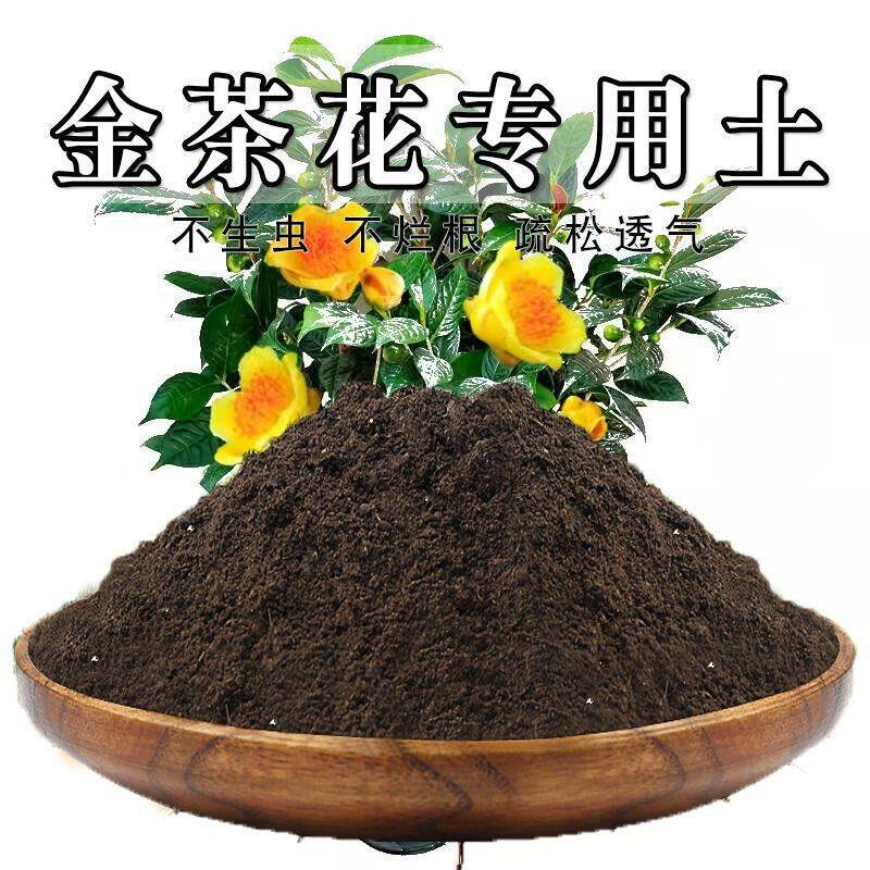金茶花专用土金茶花土盆栽营养土通用种花养花泥土壤种植土有机肥