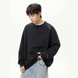 1506/QT5010/P42潮牌青少年重磅卫衣男长袖上衣百搭刺绣体恤外套图片