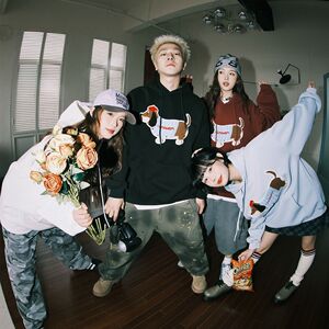 1506/Q1180/P49秋款美式高街腊肠狗印花连帽卫衣男女秋情侣外套图片