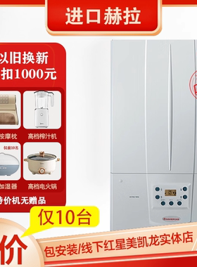 意大利依玛IMMERGAS冷凝天然气壁挂炉赫拉32KW家用两用地暖采暖炉