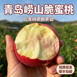 现摘青岛崂山寒露蜜桃子山东秋冬红心硬桃脆桃脆甜当季新鲜水果