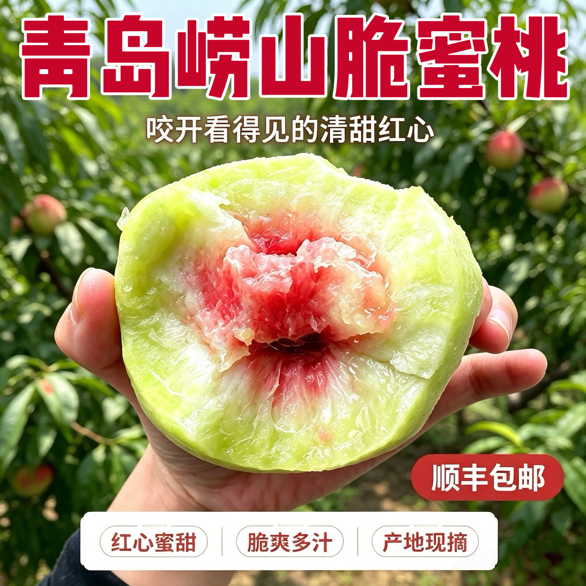 现摘青岛寒露蜜桃子脆甜顺丰包邮