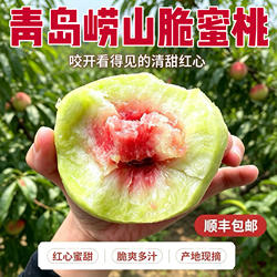 现摘青岛崂山寒露蜜桃子山东秋冬红心硬桃脆桃脆甜当季新鲜水果